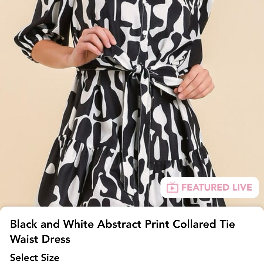 Umgee Monochrome Long Sleeve Dress with Tie Waist